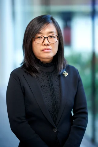 Prof. Jun Du